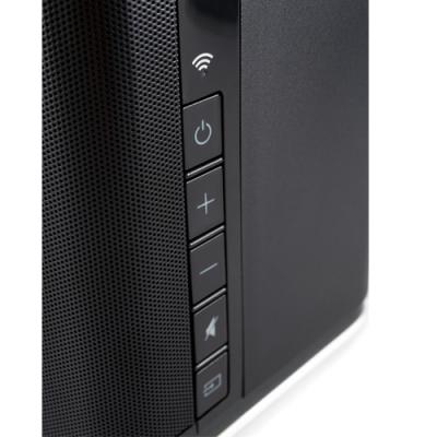 Paradigm PW 800 Premium Wireless Speaker (Black)