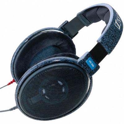 Sennheiser HD600 Audiophile-grade Hi-Fi Professional Stereo Headphones
