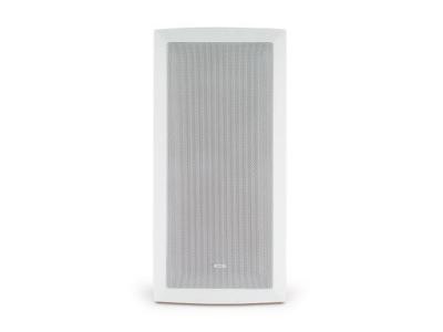 TANNOY iW 62TS flush-fit in wall subwoofer
