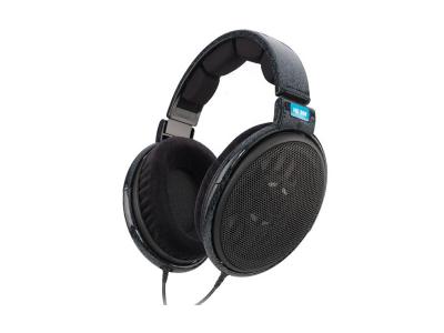 Sennheiser HD600 Audiophile-grade Hi-Fi Professional Stereo Headphones