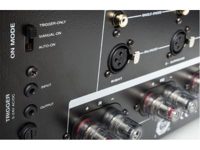 Anthem MCA 225 Multichannel Amplifier (2 x 225 watt)