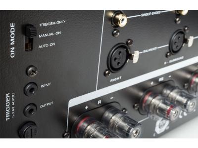 Anthem MCA 325 Multichannel Amplifier (3 x 225 watt)