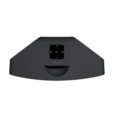 Bluesound Compact Wireless Multi-Room Music Streaming Speaker - PULSE MINI 2i Black